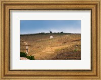 Terraced Vineyards in the Cote Rotie District Fine Art Print