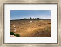 Terraced Vineyards in the Cote Rotie District Fine Art Print