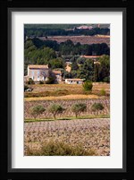 Provencal Village, Chateau Vannieres Fine Art Print