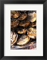 Plate of Oysters, France Fine Art Print