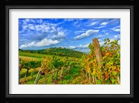 Vienna vineyards, Austria Fine Art Print