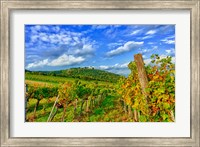 Vienna vineyards, Austria Fine Art Print