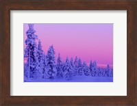 Winter Sunset in Finland Fine Art Print