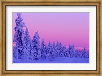 Winter Sunset in Finland Fine Art Print