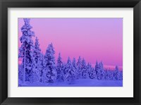 Winter Sunset in Finland Fine Art Print