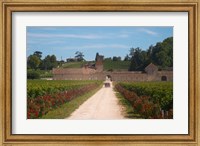Chateau Grand Mayne and Vineyard Fine Art Print