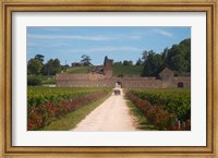Chateau Grand Mayne and Vineyard Fine Art Print