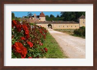 Chateau Grand Mayne Vineyard and Roses Fine Art Print