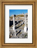 Byllis Archeological Site Fine Art Print