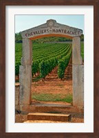 Stone Portico to the Vineyard Chevalier-Montrachet Fine Art Print