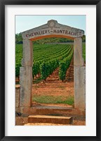 Stone Portico to the Vineyard Chevalier-Montrachet Fine Art Print