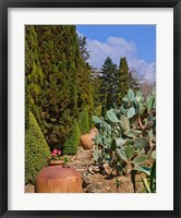 Botanical Garden in Balchik Fine Art Print