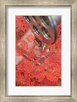 Museum of Lace and Fashion, Calais, France Fine Art Print