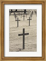 Neuville St-Vaast, WWI German military cemetery, Pas de Calais, France Fine Art Print