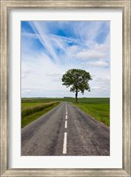 Road through the countryside, Beaumont, Somme, Picardy, France Fine Art Print