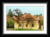 House in Tokaj Village, Mad, Hungary Fine Art Print