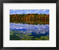 Park Haven Lake in Autumn Fine Art Print