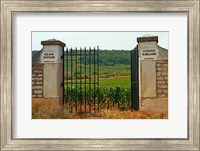 Iron Gate to the Vineyard Clos Pitois Fine Art Print