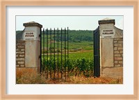 Iron Gate to the Vineyard Clos Pitois Fine Art Print