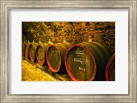 Kiralyudvar Winery Barrels with Tokaj Wine, Hungary Fine Art Print