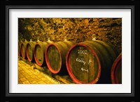 Kiralyudvar Winery Barrels with Tokaj Wine, Hungary Fine Art Print
