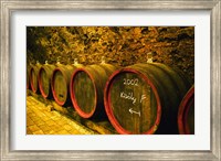 Kiralyudvar Winery Barrels with Tokaj Wine, Hungary Fine Art Print