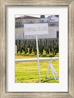 Vineyard and Chateau Cheval Blanc Fine Art Print