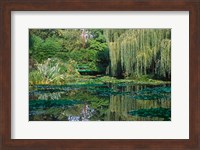 Claude Monet's Garden Pond in Giverny, France Fine Art Print
