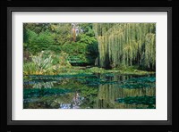 Claude Monet's Garden Pond in Giverny, France Fine Art Print