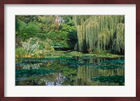 Claude Monet's Garden Pond in Giverny, France Fine Art Print