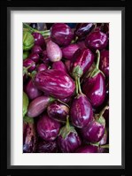 Purple Eggplant, Seafront Market Fine Art Print