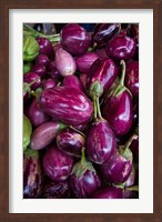 Purple Eggplant, Seafront Market Fine Art Print
