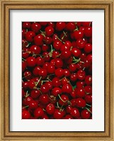 Cherries, Normandy, France Fine Art Print