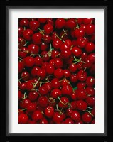 Cherries, Normandy, France Fine Art Print