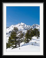 National Park Hohe Tauern, Austria II Fine Art Print