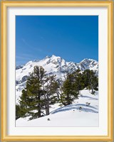 National Park Hohe Tauern, Austria II Fine Art Print