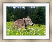 Cattle on Karwendel Mountain Range Fine Art Print