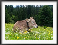 Cattle on Karwendel Mountain Range Fine Art Print