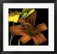 Day Lily and Coreopsis Fine Art Print