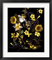 Yellow Fine Art Print