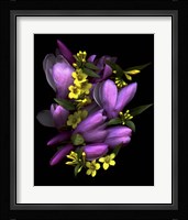 Tulip Magnolia & Jasmine Fine Art Print