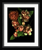 Camellia 3 Fine Art Print
