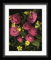 Camellia 2 Fine Art Print