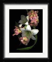 White Amaryllis & Alstromeria Fine Art Print