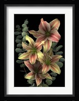 4 Red & White Amaryllis & Eucalyptus Fine Art Print
