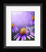 A Wise Fairy Fine Art Print