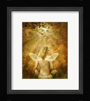 Evening Sun Fine Art Print