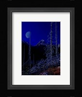 Teton J Fine Art Print