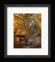 Fade To Night Fine Art Print