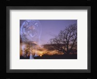 Night Rules Fine Art Print